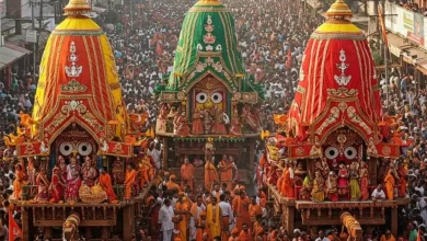 जगन्नाथ रथ यात्रा से घर ले आएं ये खास चीजें, कभी नहीं होगी पैसों की कमी!