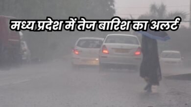 ग्वालियर, शहडोल संभाग में भारी बारिश के आसार, बाकी जिलों में छिटपुट बौछारें पड़ेंगी