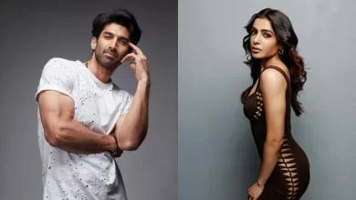 आदित्य रॉय कपूर-सामंथा को बड़ा झटका, क्या रोक दी जाएगी दोनों की ये बड़ी सीरीज?