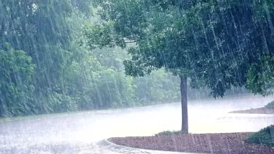 प्रदेश में अगले 24 घंटे मे होगी मानसून की एंट्री, आंधी-बारिश के 4 सिस्टम एक्टिव होने से जमकर बरसेंगे बदरा