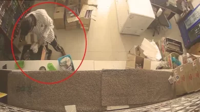 चिल्लर चोर! शराब की दुकान में की चोरी, बोरी में भर ले गया 4 लाख रुपए के सिक्के