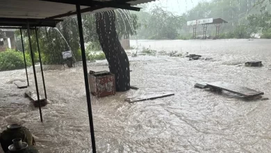 मंदसौर के भानपुरा में भारी बारिश… घरों में घुसा पानी, नीमथुर में दिल्ली-मुंबई एक्सप्रेस वे के करीब भी बुरा हाल