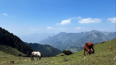भीड़-भाड़ से दूर, हिमालय की गोद में बसी 7 ऑफबीट लोकेशंस जहां मिलेगा सिर्फ सुकून