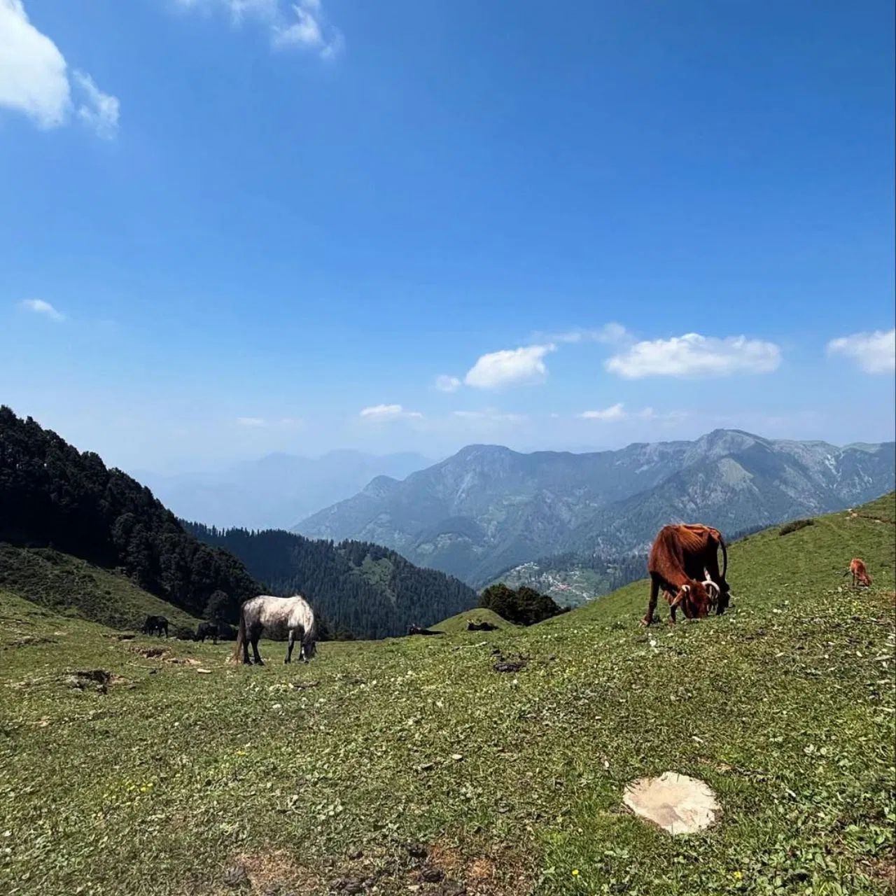 भीड़-भाड़ से दूर, हिमालय की गोद में बसी 7 ऑफबीट लोकेशंस जहां मिलेगा सिर्फ सुकून