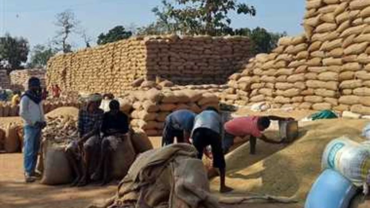 एग्रीस्टेक पोर्टल में पंजीयन अनिवार्य, तभी बेच पाएंगे धान, पढ़िए बड़ी खबर