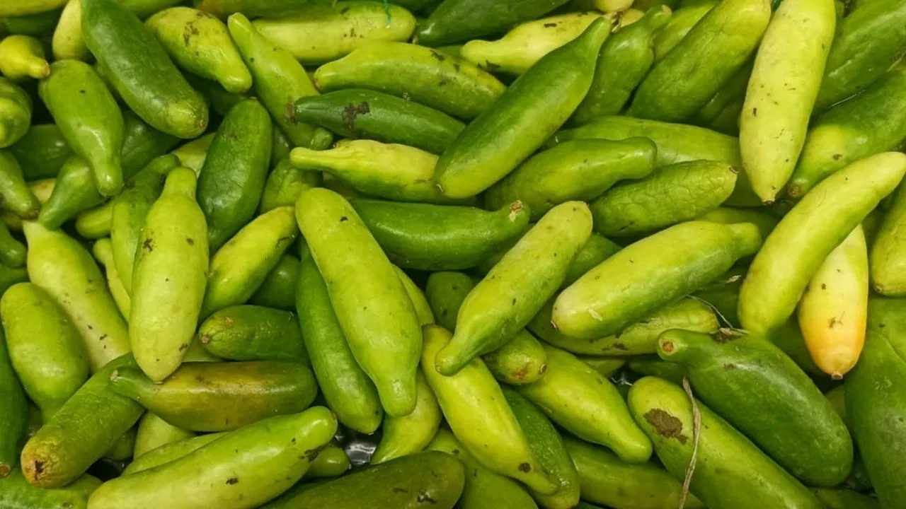 गर्मी की सब्जी कुंदरू खाने से होते हैं सेहत को ये गजब के फायदे