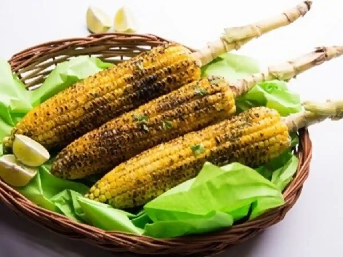 वेट लॉस हो या कब्ज की समस्या, बरसात में भुट्टा खाने से सेहत को मिलते हैं 5 फायदे
