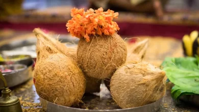 श्रावण से पहले महंगा हुआ नारियल, रक्षाबंधन तक 40 रुपये नग बिकने के आसार