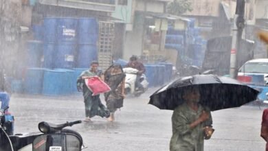 मध्य प्रदेश के 31 जिलों में आज और कल भारी बारिश के आसार