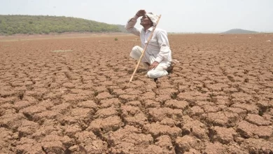 मध्‍य प्रदेश के 10 जिलों में मंडरा रहा है गंभीर सूखे का खतरा