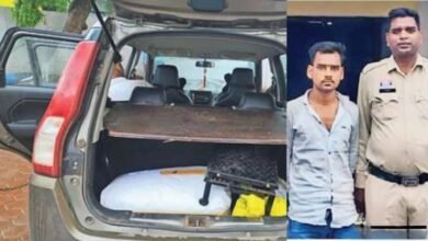 ओडिशा से 20 किलो गांजा लेकर आ रहा तस्कर गिरफ्तार, इस रास्ते से UP, बिहार में हो रहा स्पलाई
