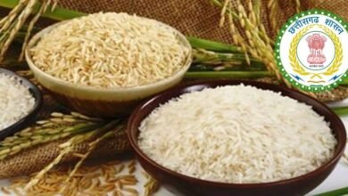 छत्तीसगढ़ से 78 लाख टन चावल खरीदेगी केंद्र सरकार, 1,200 करोड़ रुपये के नुकसान से बचेगा राज्य