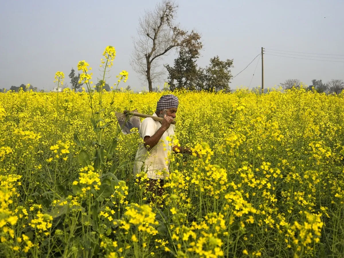 करोड़ों किसानों के लिए बड़ी खुशखबरी, इस दिन आएगी पीएम किसान की 20वीं किस्त