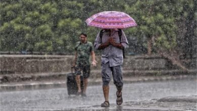 अगले 48 घंटे उत्तर-पश्चिमी मध्य प्रदेश में भारी बारिश का अनुमान… नीमच, मंदसौर, रतलाम, झाबुआ, आलीराजपुर में अलर्ट