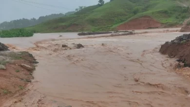 गोरखपुर से गोपालपुर मार्ग हुआ बंद, बाढ़ के पानी से सिवनी नदी में बना डायवर्सन डूबा