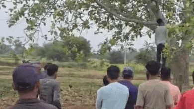 पाटन में पेड़ से लटकती मिली इलेक्ट्रिशियन की लाश:प्रेम-प्रसंग से जुड़ा मामला, त्योहार मनाने अपने गांव आया था