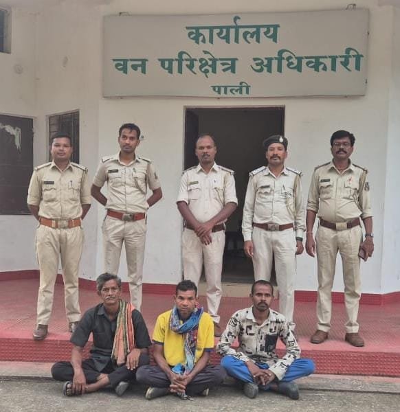 उर्जाधानी कोरबा में वन्यजीवों का बेख़ौफ़ शिकार: डकार गए चीतल और सूअर का मांस, बेचने के फिराक में 3 शिकारी पकड़े गये उर्जाधानी कोरबा में वन्यजीवों का बेख़ौफ़ शिकार: डकार गए चीतल और सूअर का मांस, बेचने के फिराक में 3 शिकारी पकड़े गये