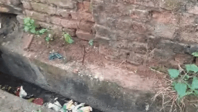 रायगढ़ में असामाजिक-तत्वों ने भगवान की प्रतिमा नाली में फेंकी:मंदिर में तोड़फोड़, मोहल्लेवासी रोज पूजा करते थे; आरोपी के खिलाफ कार्रवाई की मांग