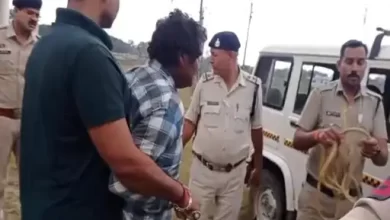 भाभी पर टांगी से हमला, इलाज के दौरान मौत:पुलिस ने आरोपी को घेराबंदी कर पकड़ा, पति-पत्नी के विवाद में बीच-बचाव करने आई थी महिला