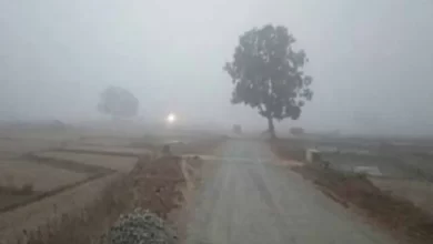 उत्तर भारत से आ रही ठंडी हवाओं से छत्तीसगढ़ में शीतलहर की संभावना, इन जिलों में गिरेगा तापमान