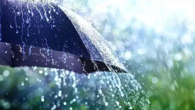 चक्रवाती तूफान मोंथा के असर से छत्तीसगढ़ के 11 जिलों में आज भी हवाओं के साथ होगी बारिश