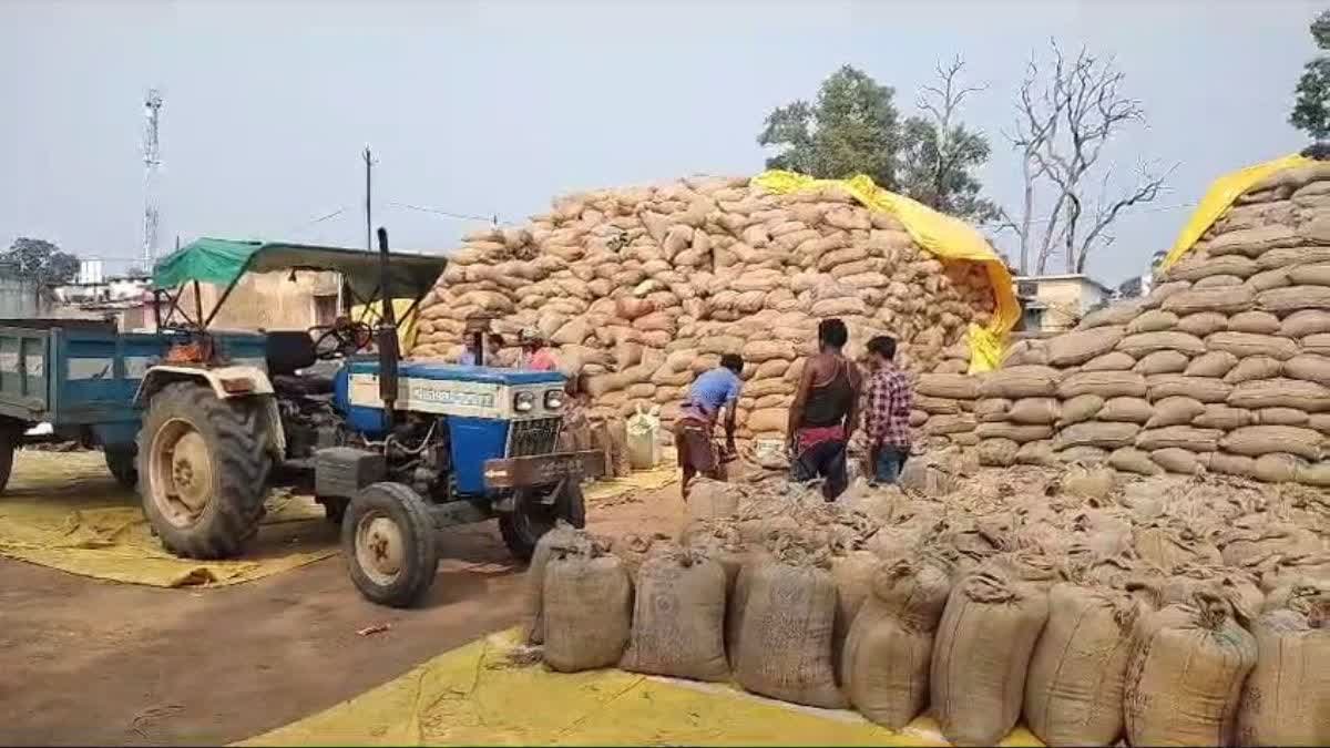15 नवंबर से 31 जनवरी तक होगी धान खरीदी , तुहर टोकन मोबाइल ऐप शुरू