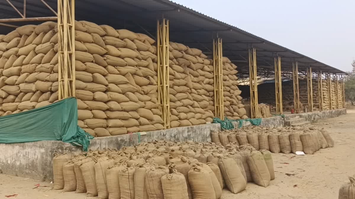 छत्तीसगढ़ में आज से होगी धान खरीदी, इधर सहकारी समिति के कर्मचारी, कंप्यूटर ऑपरेटर हड़ताल पर छत्तीसगढ़ में आज से होगी धान खरीदी, इधर सहकारी समिति के कर्मचारी, कंप्यूटर ऑपरेटर हड़ताल पर