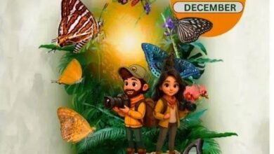 कांगेर घाटी में 5 से 7 दिसंबर तक होगा बटरफ्लाई मीट,20 नवंबर तक होंगे प्रतिभागियों के पंजीयन