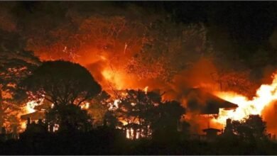 जापान के इस शहर में दिल दहला देने वाली घटना, भीषण आग से 170 इमारतें जलकर खाक