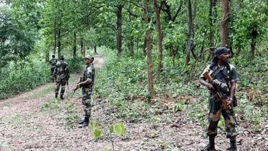 छत्तीसगढ़-महाराष्ट्र बॉर्डर पर पुलिस नक्सली मुठभेड़:कई नक्सलियों के मारे जाने की खबर, जवानों ने बड़े नक्सल लीडर को घेरा, दोनों ओर से फायरिंग जारी