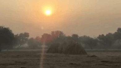 अगले 4 दिन प्रदेश में ठंड बढ़ेगी…4° गिरेगा पारा:डॉक्टर बोले- ये मौसम बीमारी लाता है, मलेरिया का डर ज्यादा; सतर्क रहें