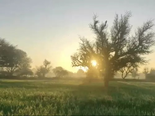 ठंड से थोड़ी राहत…5 दिन 2-3° बढ़ेगा तापमान:दुर्ग-बिलासपुर, सरगुजा संभाग के कुछ हिस्सों में शीतलहर चलेगी; ऐसे मौसम में हाइपोथर्मिया, मलेरिया का खतरा ठंड से थोड़ी राहत…5 दिन 2-3° बढ़ेगा तापमान:दुर्ग-बिलासपुर, सरगुजा संभाग के कुछ हिस्सों में शीतलहर चलेगी; ऐसे मौसम में हाइपोथर्मिया, मलेरिया का खतरा