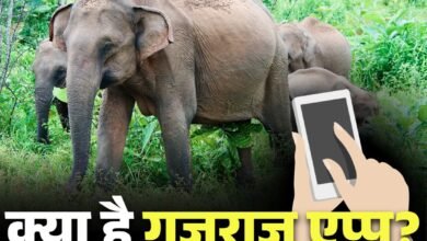 कोरबा से आई अनोखी पहल: ‘गजराज ऐप’ बनेगा हाथियों का GPS गार्डियन, अब नहीं होगी जनहानि!