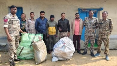 फिल्मी स्टाइल में चली पुलिस की रेड! ट्रैक्टर की ट्रॉली से निकला 117 किलो गांजा, तस्कर गिरफ्तार!