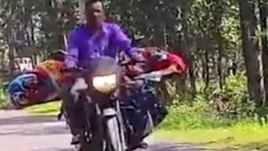 कैंसर-पीड़ित पत्नी को बाइक पर लिटाकर भटक रहा किसान…VIDEO:इलाज में खेत-जेवर, बैल बिक गए, 5-7 लाख का कर्ज, पति बोला-मेरी मदद कर दो सरकार