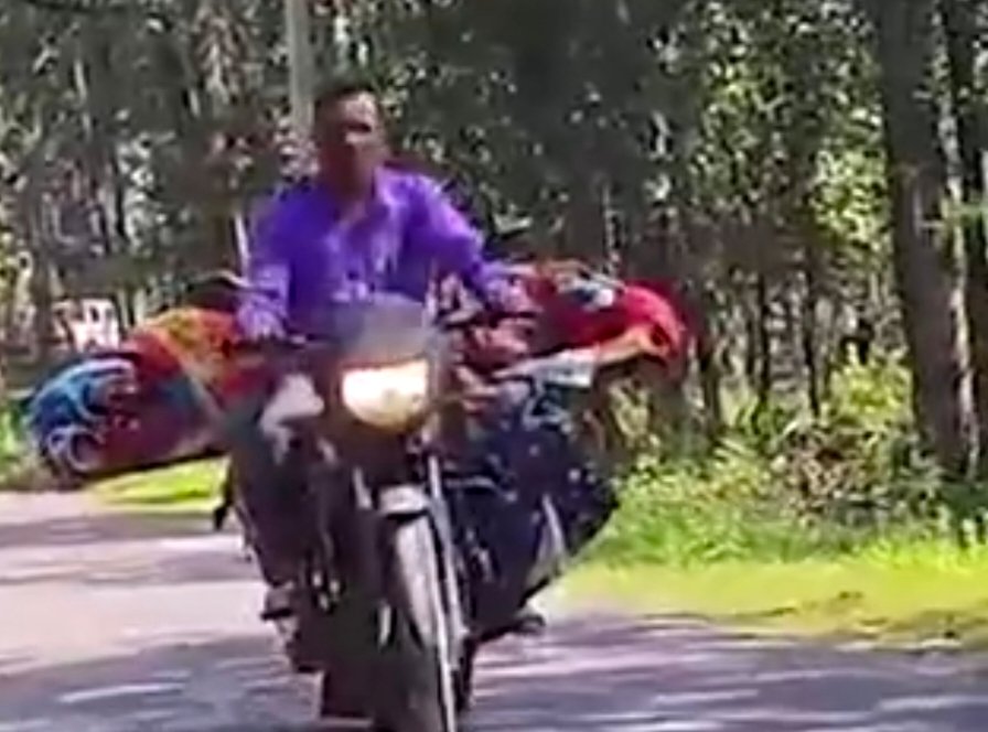 कैंसर-पीड़ित पत्नी को बाइक पर लिटाकर भटक रहा किसान…VIDEO:इलाज में खेत-जेवर, बैल बिक गए, 5-7 लाख का कर्ज, पति बोला-मेरी मदद कर दो सरकार कैंसर-पीड़ित पत्नी को बाइक पर लिटाकर भटक रहा किसान…VIDEO:इलाज में खेत-जेवर, बैल बिक गए, 5-7 लाख का कर्ज, पति बोला-मेरी मदद कर दो सरकार