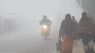 CG Weather : छत्तीसगढ़ में नवंबर में ही चलेगी शीतलहर,अंबिकापुर में सबसे कम 7.7 डिग्री तक गिरा तापमान