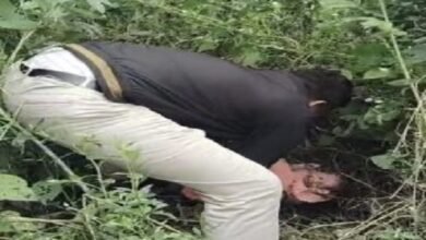 कोरबा: प्रसव के बाद मां ने नवजात को बाड़ी में फेंका, रोने की आवाज के बाद किया गया बरामद