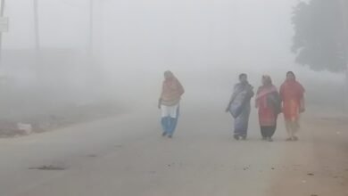 छत्तीसगढ़ के कई जिलों में ठंड ने दी दस्तक, सुबह और रात को होने लगा ठंड का अहसास
