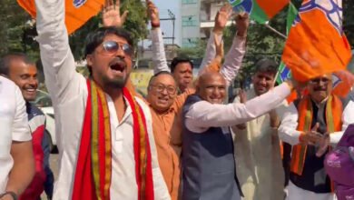 बिहार चुनाव में एनडीए को पूर्ण बहुमत पर छत्तीसगढ़ में ख़ुशी से झूम उठे भाजपाई, ढोल-नगाड़ों के साथ हुई आतिशबाजी