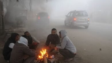 छत्तीसगढ़ में नवंबर में ही चलने लगी शीतलहर, मौसम विभाग ने कई जिलों के लिए जारी किया ठंड का यलो अलर्ट