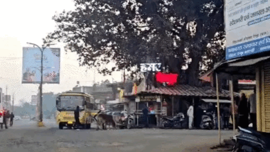 दुर्ग में न्यूनतम तापमान 10°C, सुकमा-दंतेवाड़ा में मलेरिया का खतरा, बलौदाबाजार-पेंड्रा में अलाव का सहारा