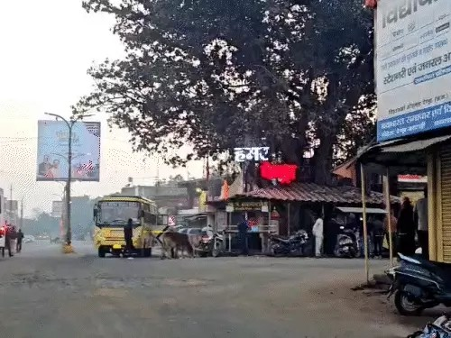 दुर्ग में न्यूनतम तापमान 10°C, सुकमा-दंतेवाड़ा में मलेरिया का खतरा, बलौदाबाजार-पेंड्रा में अलाव का सहारा