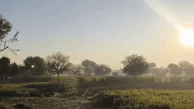 ठंडी हवाओं से पारा गिरा, अंबिकापुर में न्यूनतम तापमान 13°C:रायपुर में सूरज ढलते ही ठंड महसूस;3 दिन में 4 ° गिर सकता है टेम्प्रेचर