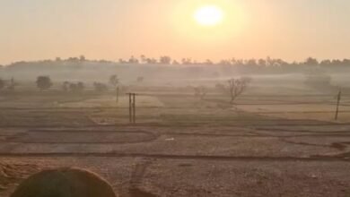 मैनपाट में पारा 4°…ओस की बूंदें जमकर बर्फ बनी:दुर्ग में रात का पारा 7° कम, उत्तरी-हिस्से में शीतलहर, पेंड्रा-अंबिकापुर में सुबह-शाम अलाव का सहारा