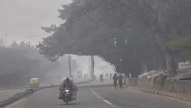 छत्तीसगढ़ में कई जिलों में न्यूनतम तापमान पंहुचा 10 डिग्री तक, मौसम विभाग ने जारी किया शीतलहर का अलर्ट