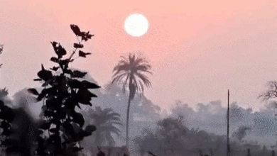 अंबिकापुर में 7°C न्यूनतम तापमान..उत्तरी-मध्य हिस्से में शीतलहर:दुर्ग-रायपुर में भी पारा लुढ़का, अलाव की कमी से दिक्कतें बढ़ीं; सुकमा-दंतेवाड़ा में मलेरिया का खतरा