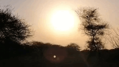 मध्य-उत्तरी छत्तीसगढ़ में ठंड बढ़ेगी…3° तक गिरेगा पारा:24 घंटे बाद यही ट्रेंड दक्षिणी हिस्से में दिखेगा; मौसम बदलने से मलेरिया फैलने का खतरा