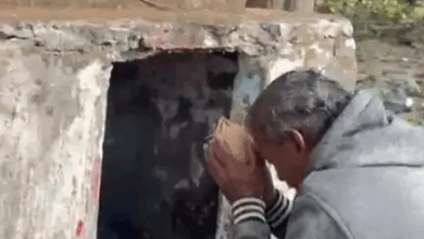 रायगढ़ के तमनार में 34 हाथियों का डेरा:मकानों को पहुंचाया नुकसान, ग्रामीणों ने फसल के साथ हाथियों को बचाने देवी मंदिर में की पूजा