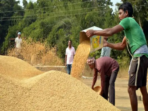 धान बेचने के लिए अब एप से मिलेगा टोकन:खाद्य विभाग नें लॉन्च किया ‘तुहर टोकन’ एप, 70% धान खरीदी ऑनलाइन जारी टोकन से होगी